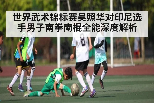世界武术锦标赛吴照华对印尼选手男子南拳南棍全能深度解析（FeiFan Sports）